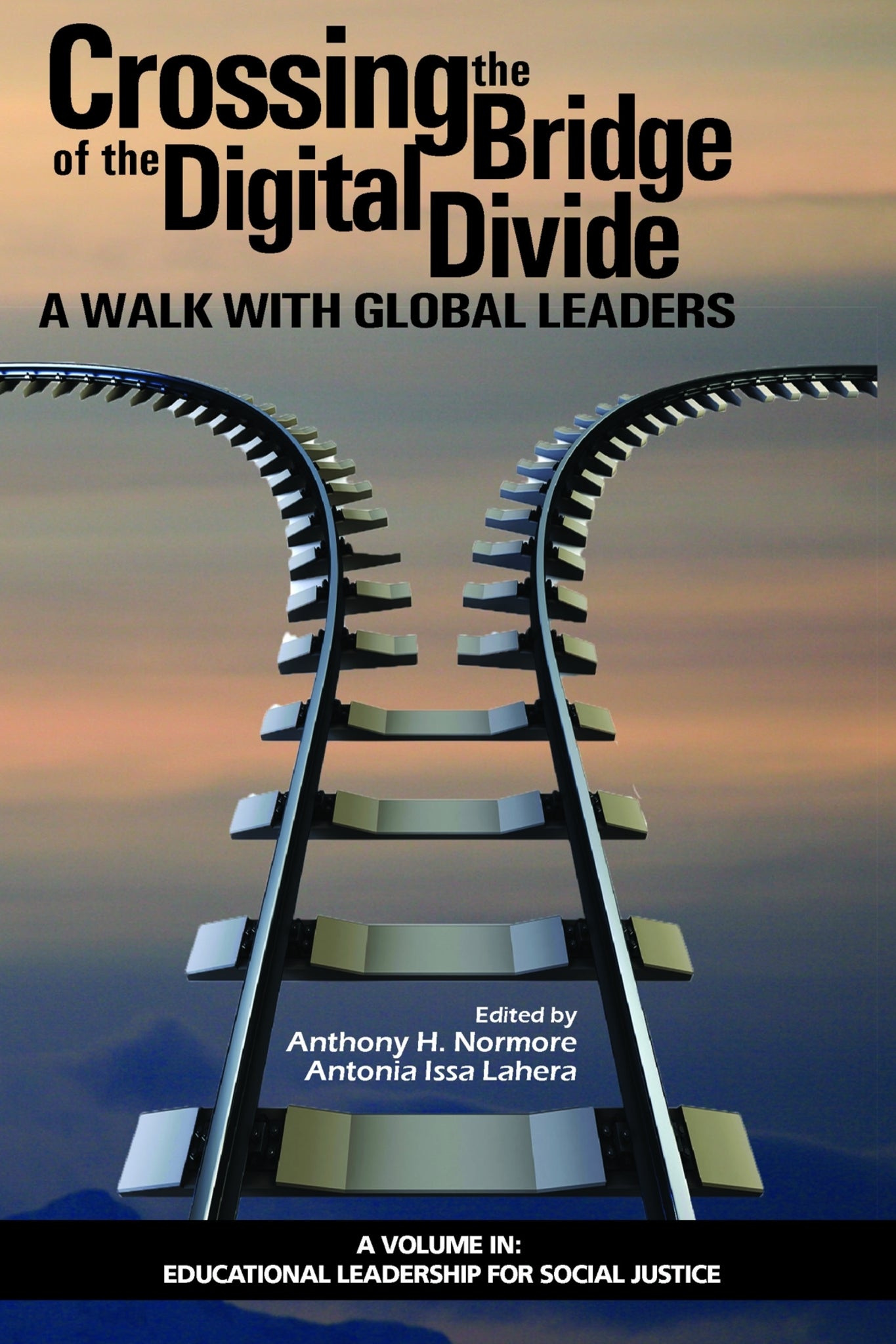 Crossing the Bridge of the Digital Divide